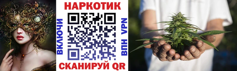 Где можно купить наркотики Новозыбков ГАШИШ COCAIN Амфетамин A PVP МАРИХУАНА Меф мяу мяу