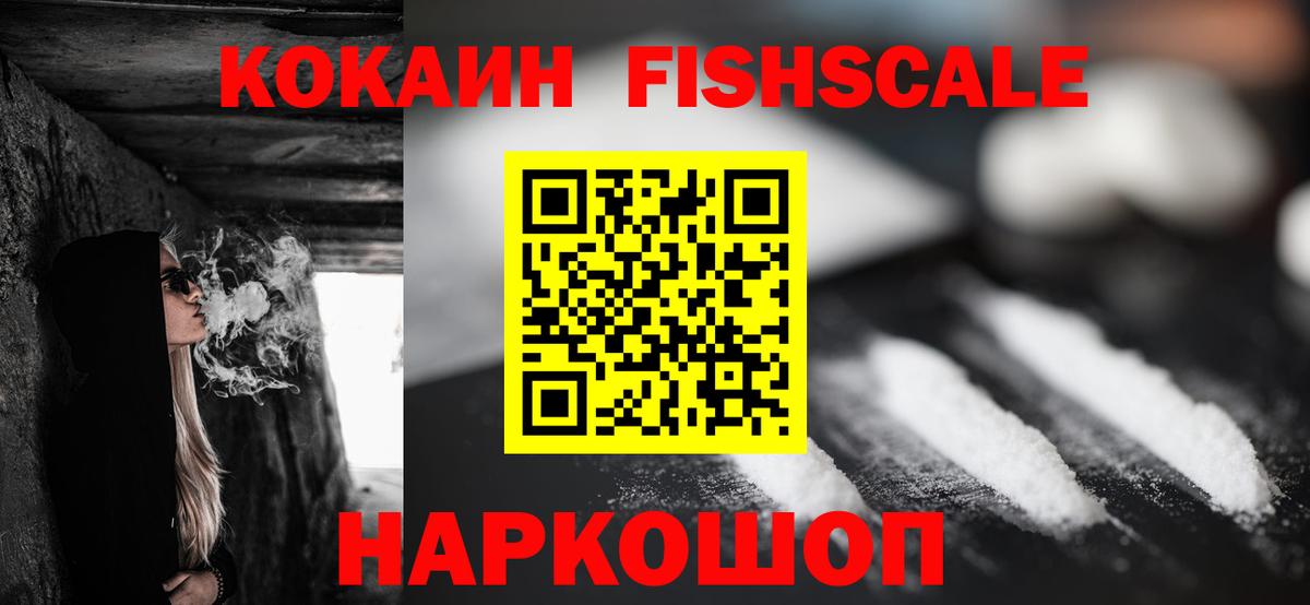 Новозыбков  Кокаин 99%  COCAIN  Вход с VPN  COCAIN Fish Scale 