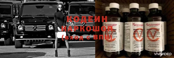 гашик Новодвинск