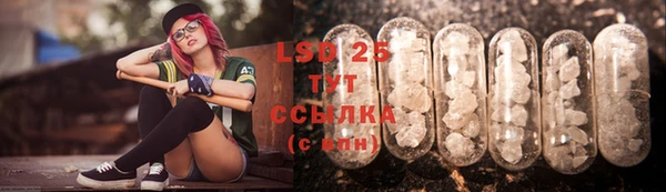 гашик Новодвинск