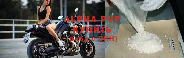 скорость Новозыбков