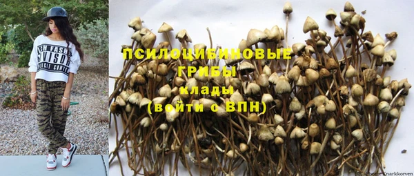 PSILOCYBIN Нефтегорск