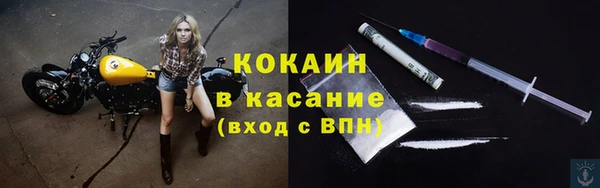 гашик Новодвинск