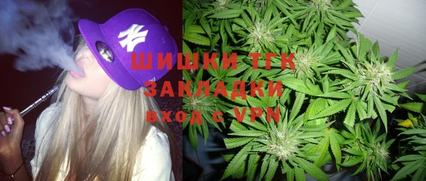 гашик Новодвинск