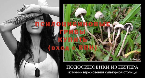 apvp Нея