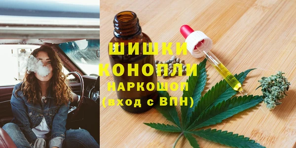 гашик Новодвинск