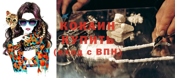 гашик Новодвинск