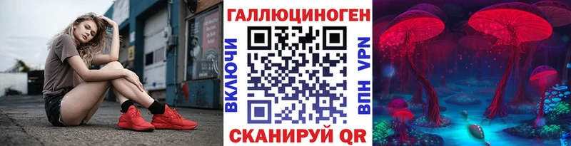 Галлюциногенные грибы Cubensis  дарнет шоп  Новозыбков 