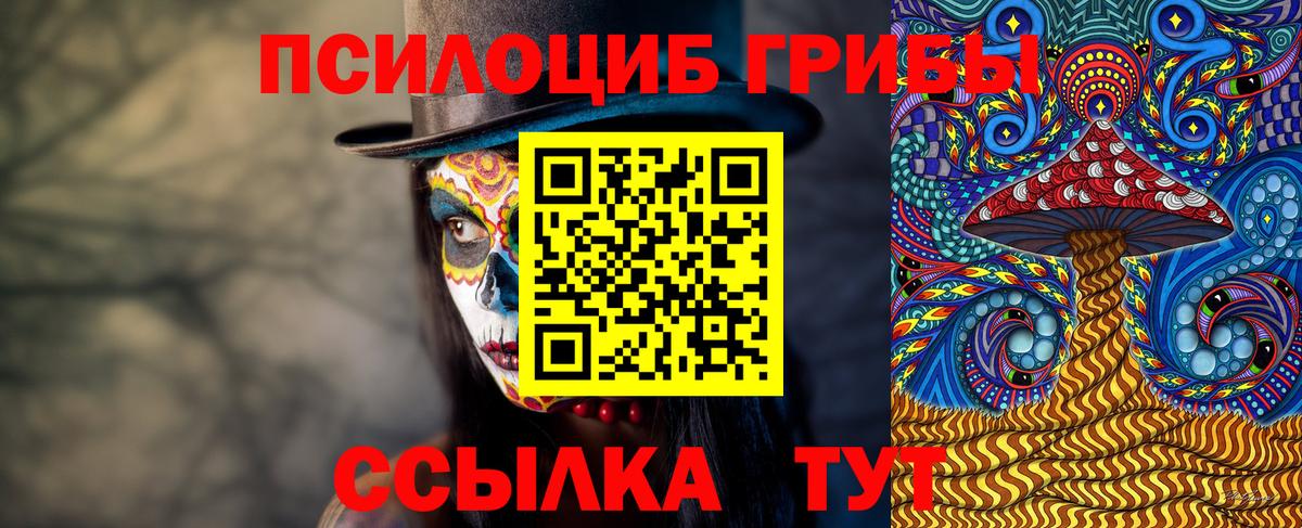 Галлюциногенные грибы Psilocybine cubensis  Новозыбков 