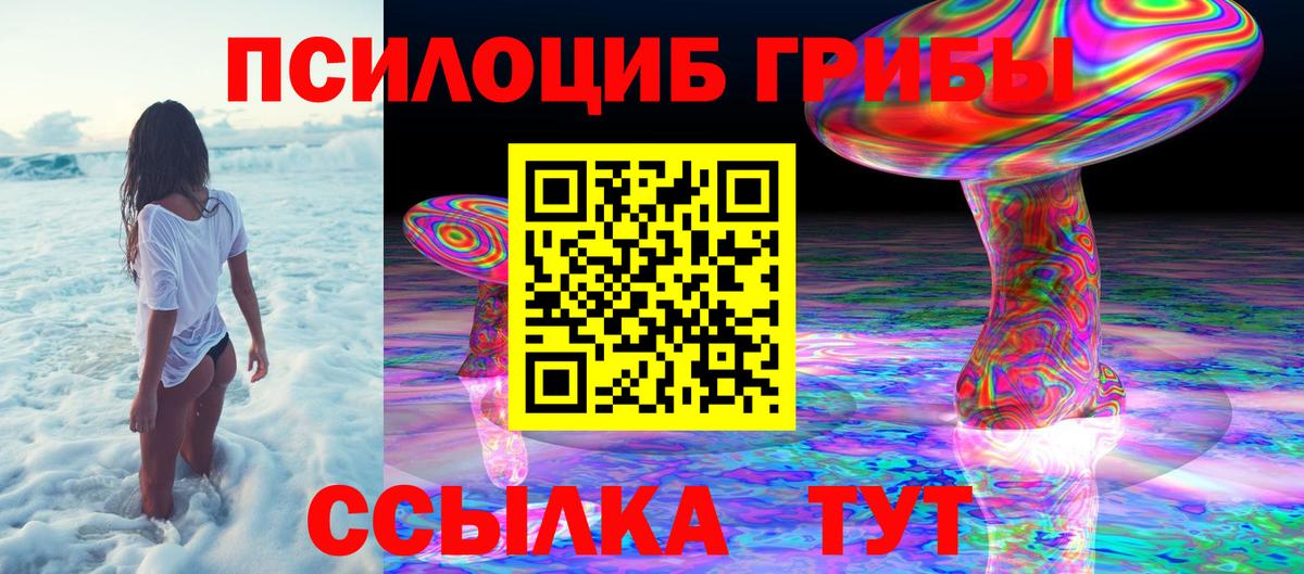 Галлюциногенные грибы мицелий Новозыбков