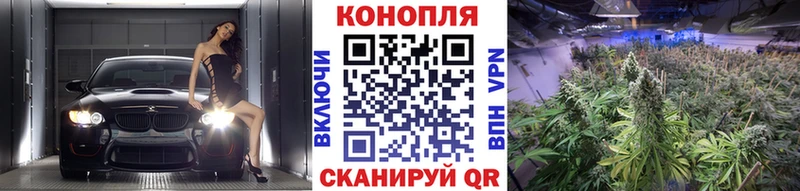 Каннабис планчик  Новозыбков 